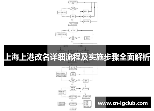 上海上港改名详细流程及实施步骤全面解析